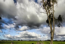 Here we go！罗马诺：34岁智利前锋桑切斯自由身回归国米，罗马桑普