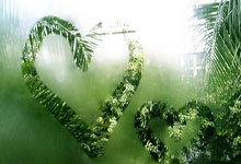 Here we go！罗马诺：34岁智利前锋桑切斯自由身回归国米，罗马桑普