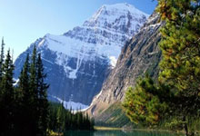 Here we go！罗马诺：34岁智利前锋桑切斯自由身回归国米，罗马桑普