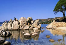 Here we go！罗马诺：34岁智利前锋桑切斯自由身回归国米，罗马桑普