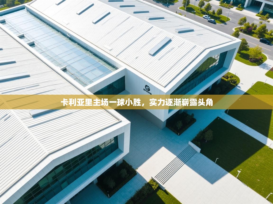 卡利亚里主场一球小胜,实力逐渐崭露头角